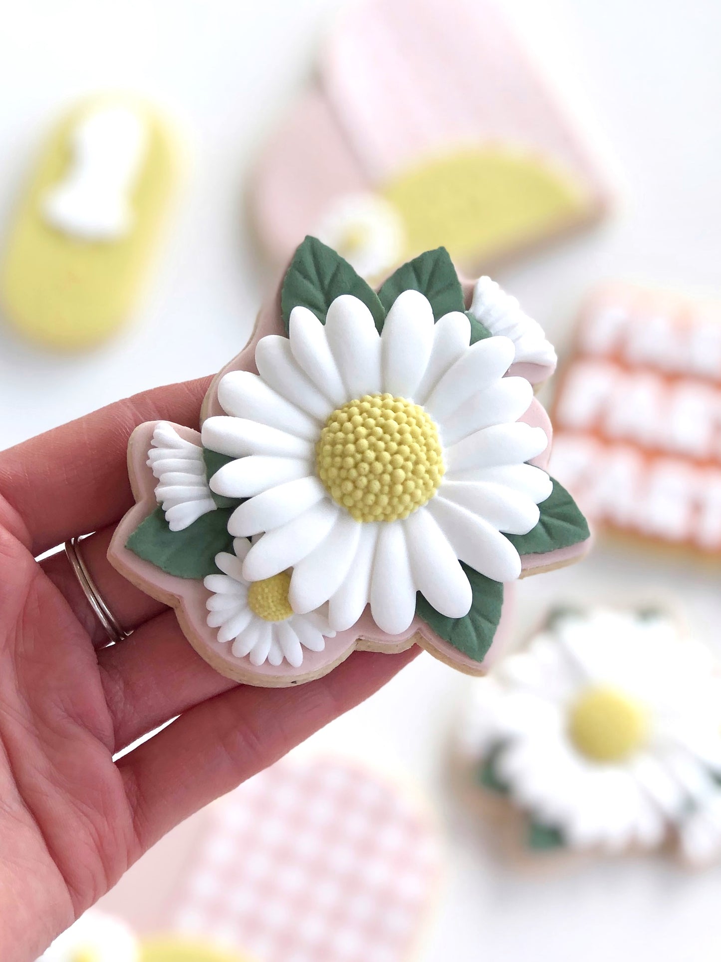 Daisy Silicone Mould Kit